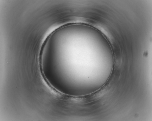 X0000092090943200709121510