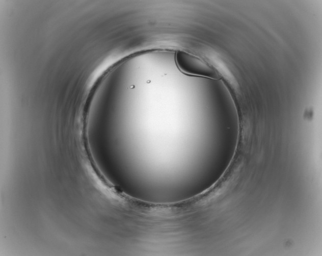 X0000092090944200709121510