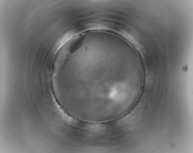 X0000092090945200709121510
