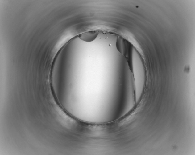 X0000092090946200709121510