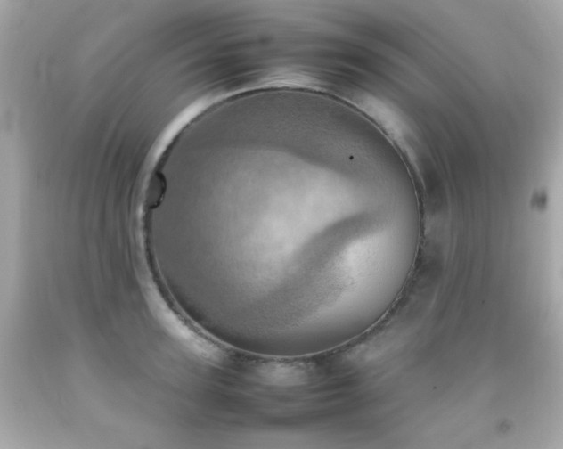 X0000092090947200709121510