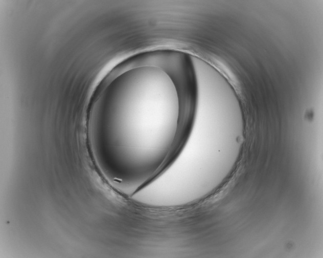 X0000092090948200709121510