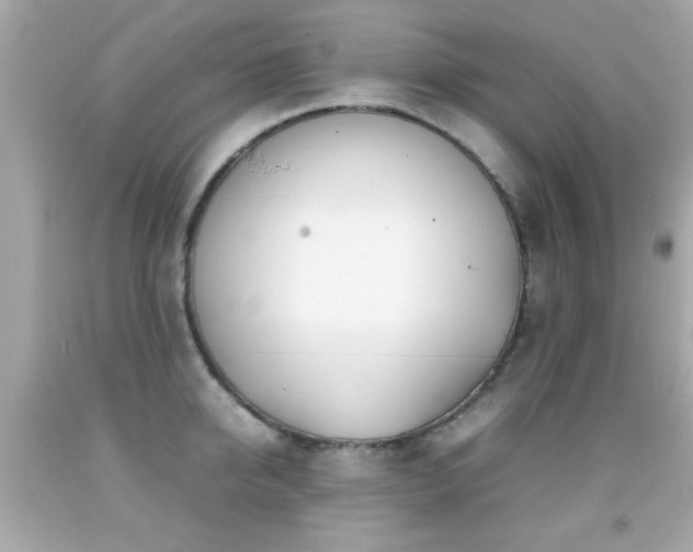 X0000092090950200709121510