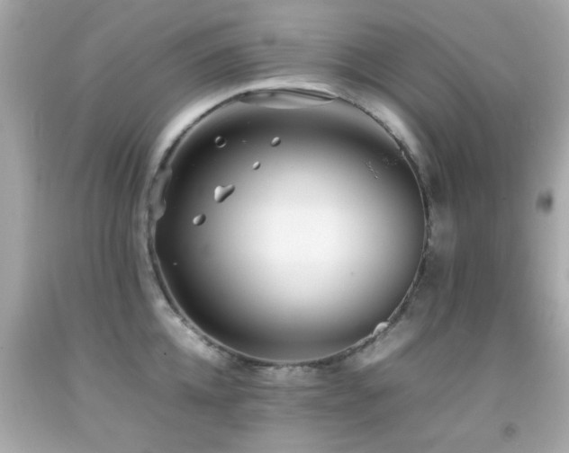 X0000092090952200709121510