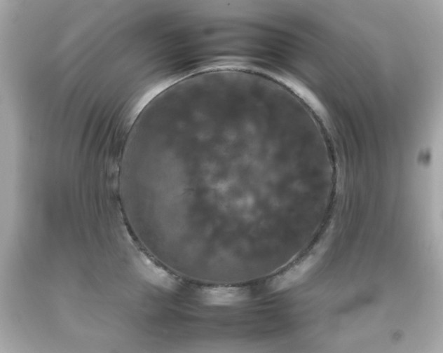 X0000092090953200709121510