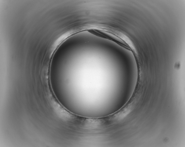 X0000092090954200709121510