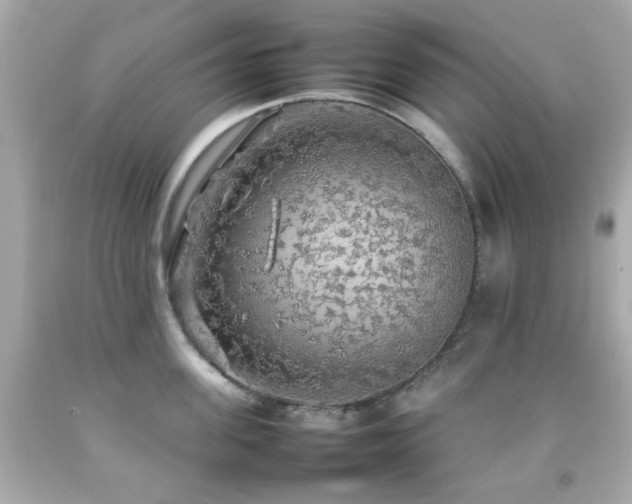 X0000092090955200709121510