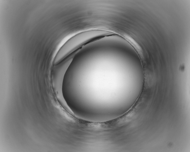 X0000092090956200709121510