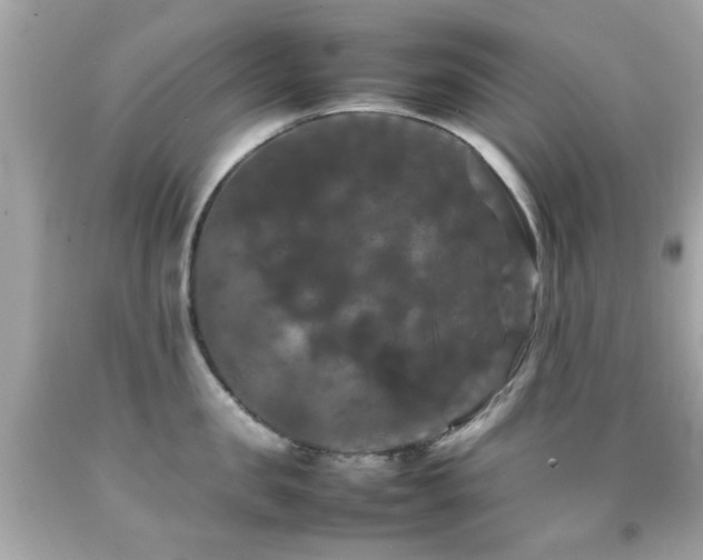 X0000092090957200709121510