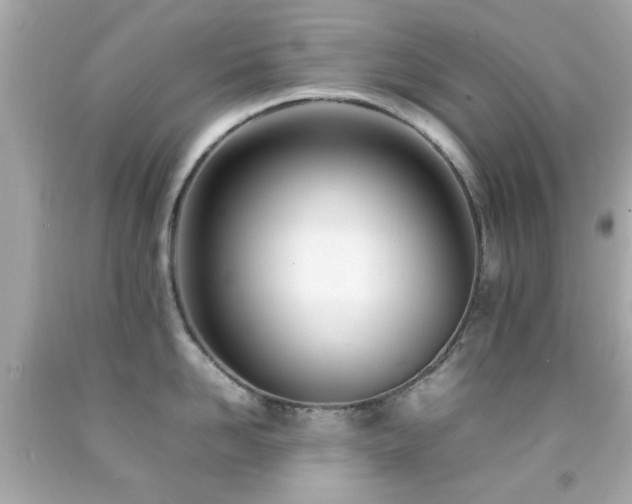 X0000092090958200709121510