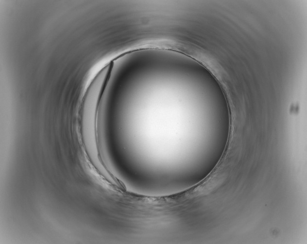 X0000092090960200709121510