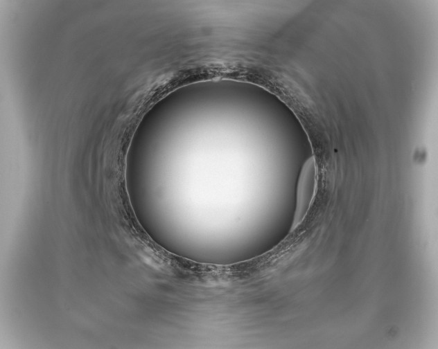 X0000092090961200709121509