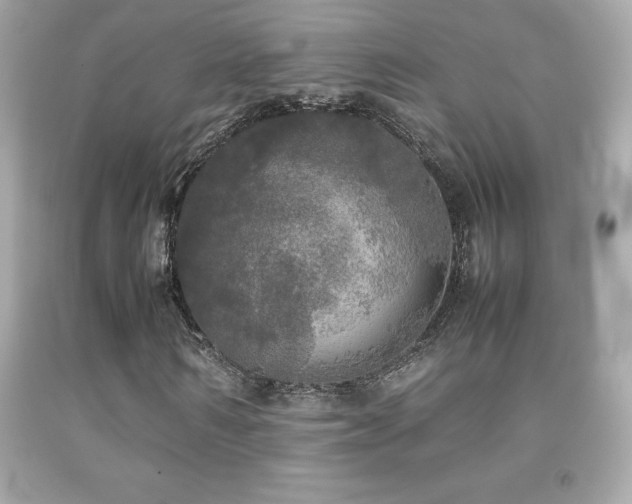 X0000092090962200709121509