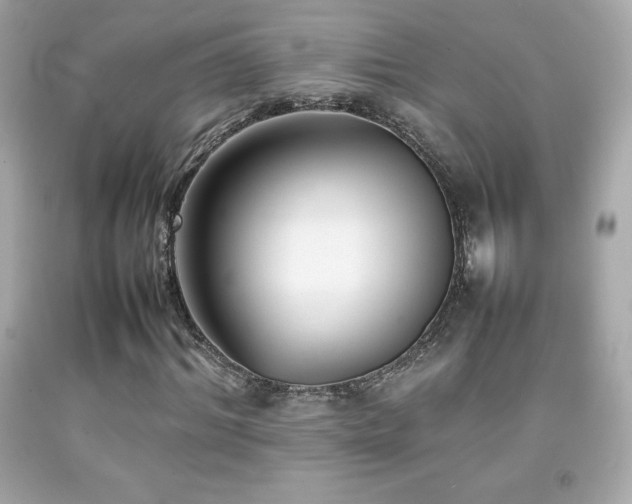 X0000092090964200709121509