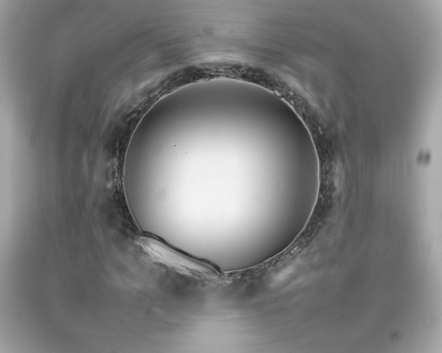 X0000092090965200709121509