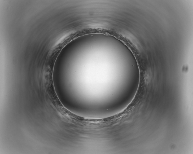 X0000092090968200709121509