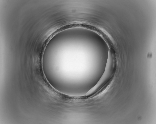 X0000092090969200709121509