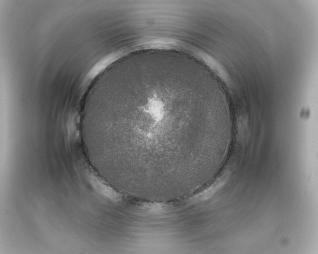X0000092090970200709121509