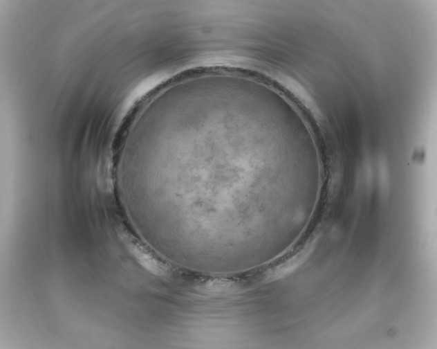 X0000092090974200709121509