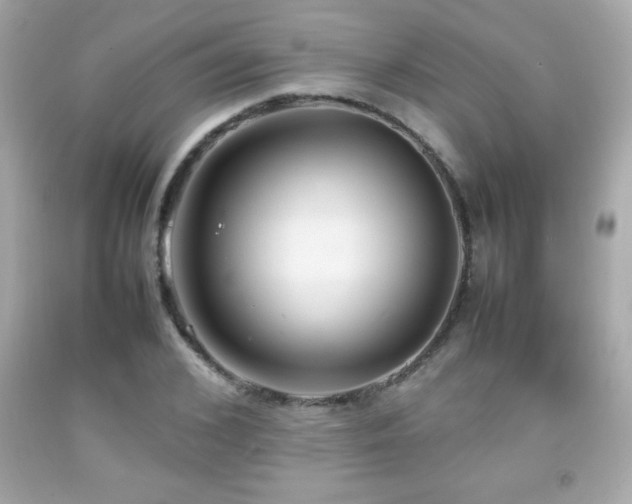X0000092090976200709121509
