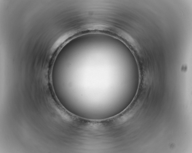 X0000092090978200709121509