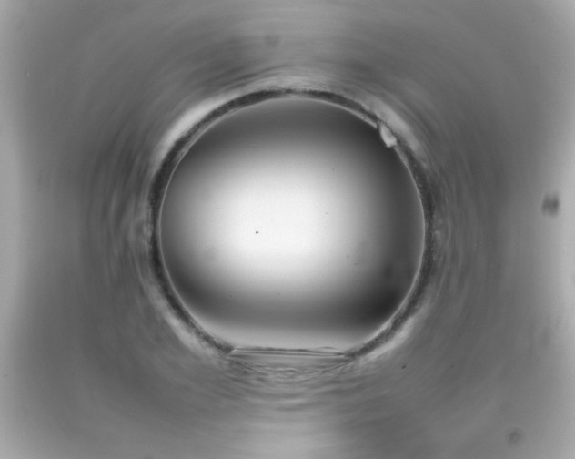 X0000092090981200709121509