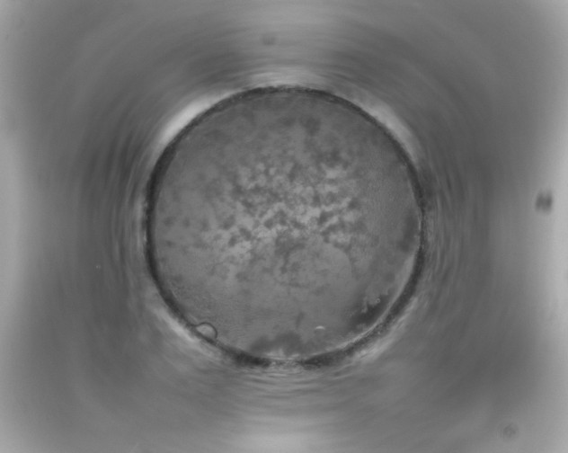X0000092090983200709121509