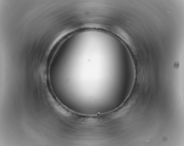X0000092090984200709121509