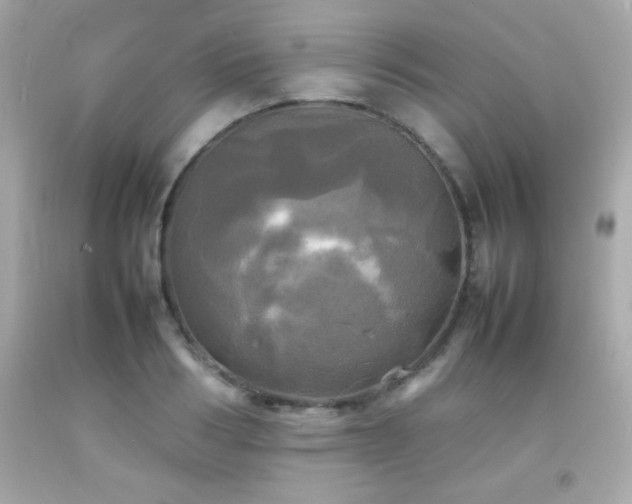X0000092090986200709121509