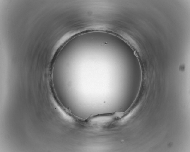 X0000092090989200709121509
