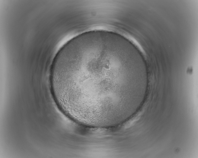 X0000092090991200709121509