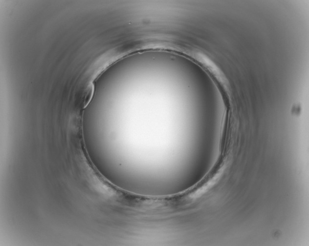 X0000092090993200709121509