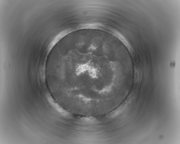 X0000092090994200709121509