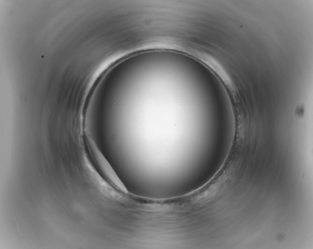 X0000092090996200709121509