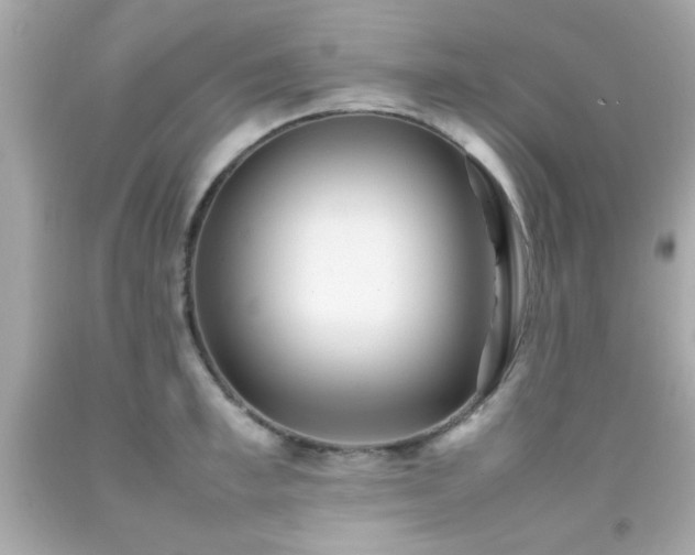 X0000092090997200709121509