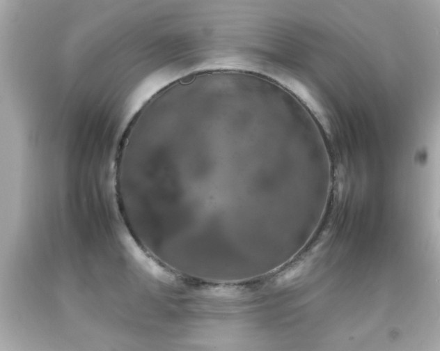 X0000092090998200709121509