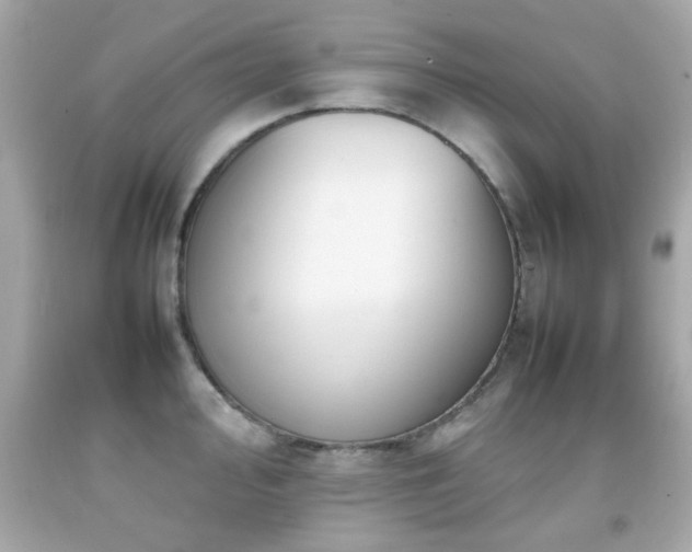 X0000092091000200709121509