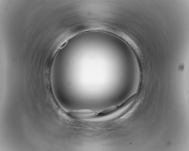 X0000092091001200709121509