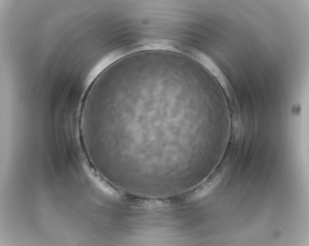 X0000092091002200709121509