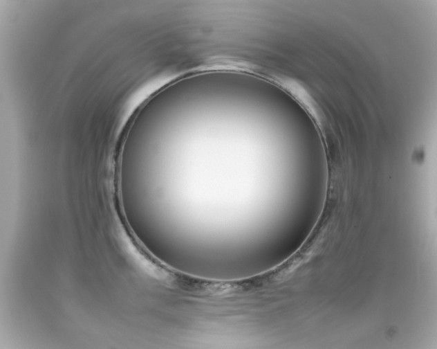X0000092091003200709121509
