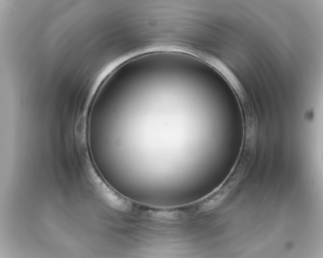 X0000092091004200709121509