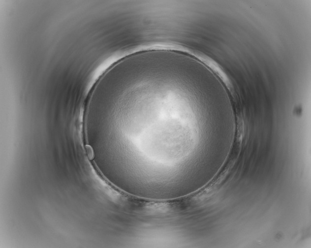 X0000092091006200709121509