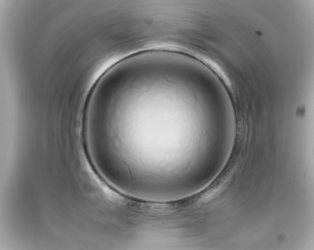 X0000092091007200709121509