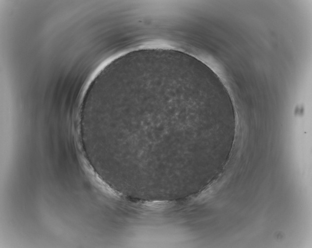 X0000092091008200709121509