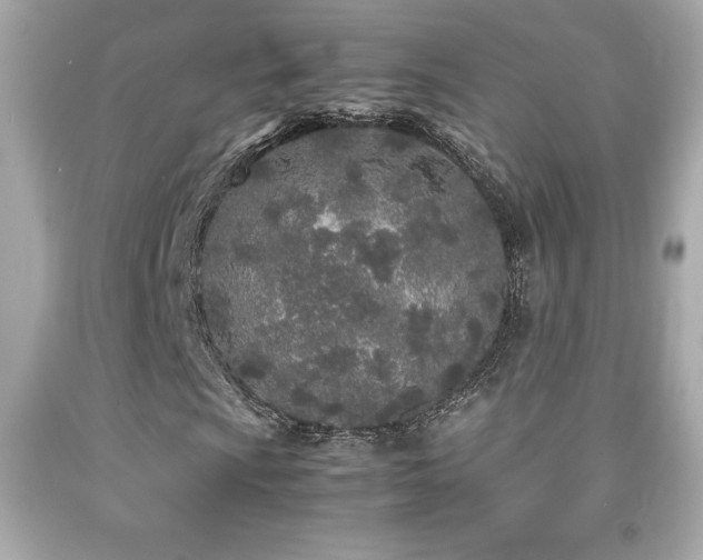 X0000092091009200709121508