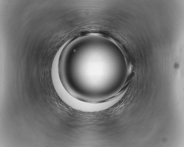 X0000092091010200709121508