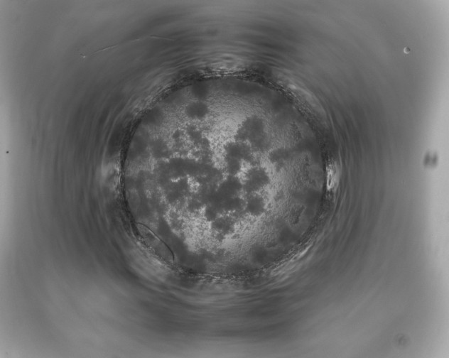 X0000092091011200709121508