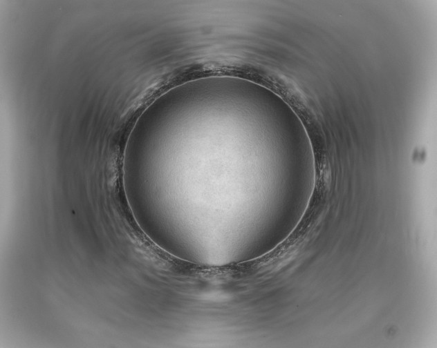 X0000092091012200709121508