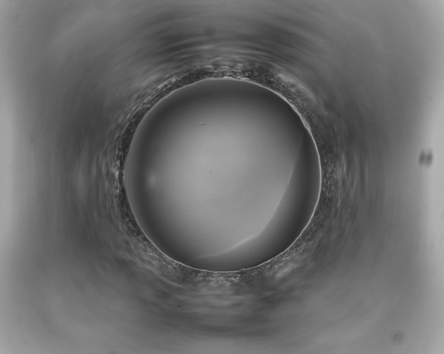 X0000092091013200709121508