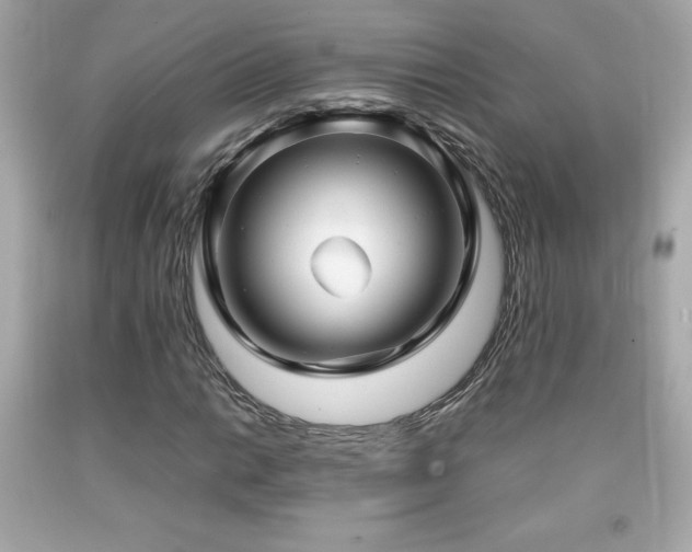 X0000092091014200709121508